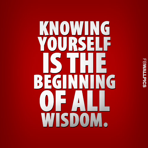 The Beginning of All Wisdom Aristotle Quote Facebook picture