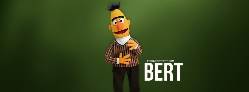 Bert Sesame Street Facebook cover