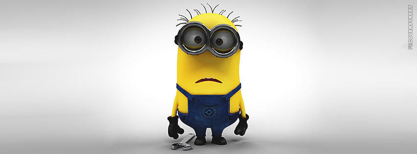 Minion Confused Look  Facebook Cover