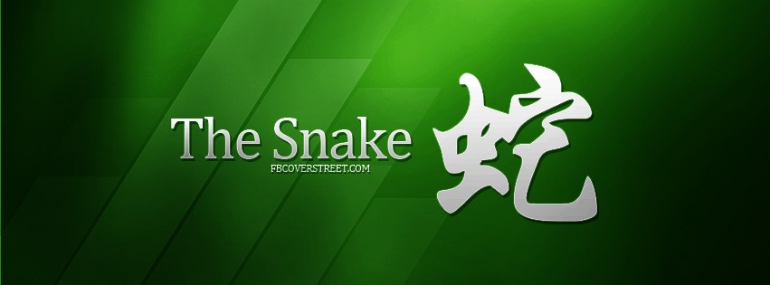 The Snake Facebook cover