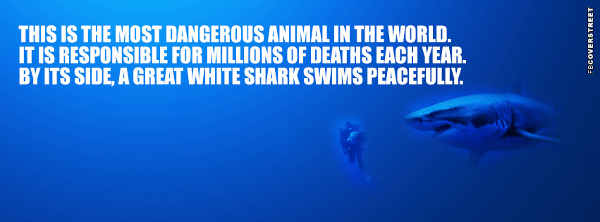 Most Dangerous Animal In The World  Facebook cover