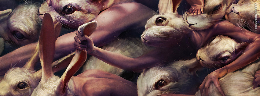 The Rabbit Race Facebook Cover
