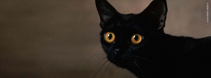 Yellow Eyed Black Cat  Facebook Cover