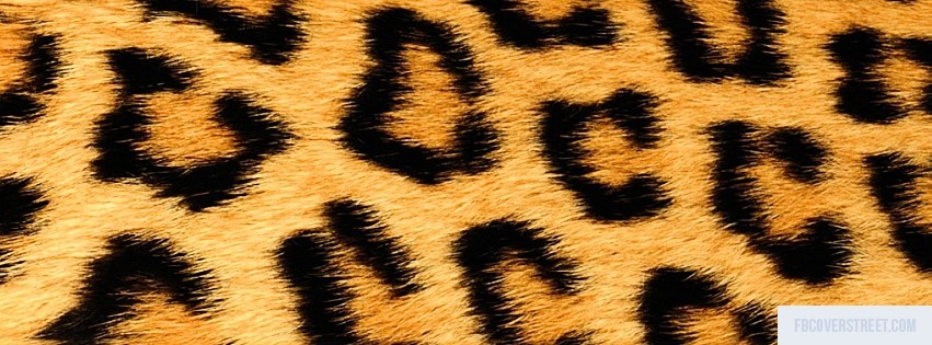 Cheetah Print 11 Facebook Cover