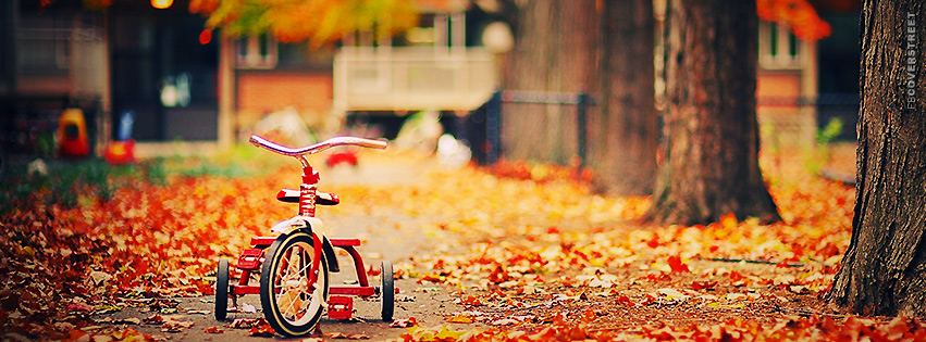 Tricycle In Fall  Facebook Cover