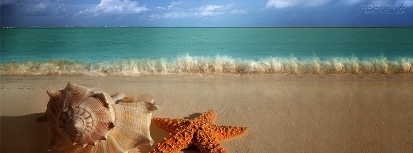 Seashell & Starfish On A Beach Facebook Cover