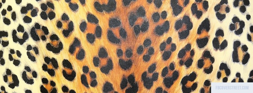 Cheetah Print 3 Facebook cover
