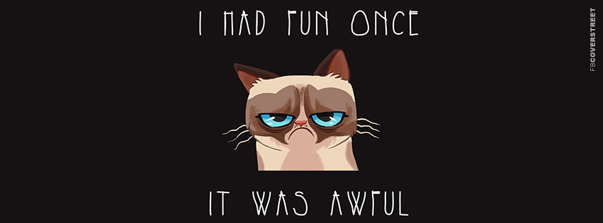 Grumpy Cat I Had Fun Once  Facebook Cover