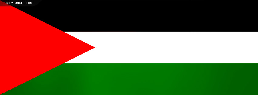 Palestine Plain Flag Facebook cover