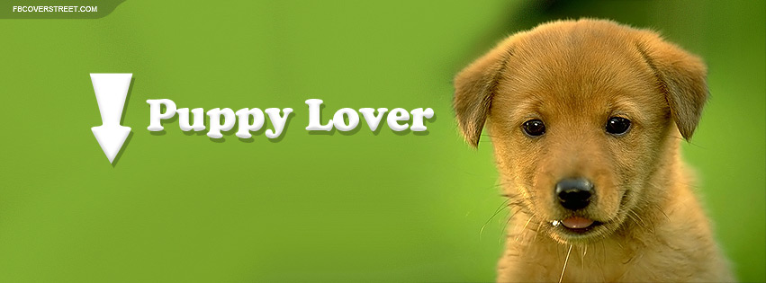 Puppy Lover Facebook cover