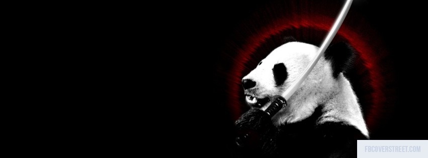 Panda 1 Facebook Cover