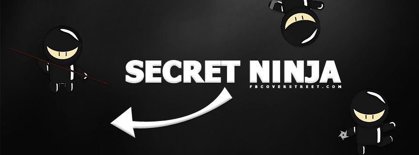 Secret Ninja 2 Facebook Cover