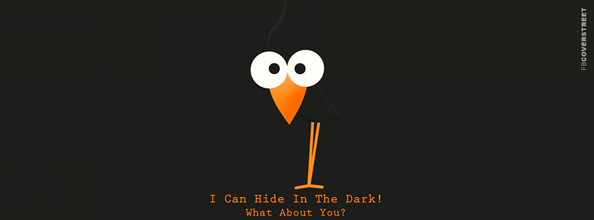 I Can Hide In The Dark Crow  Facebook Cover