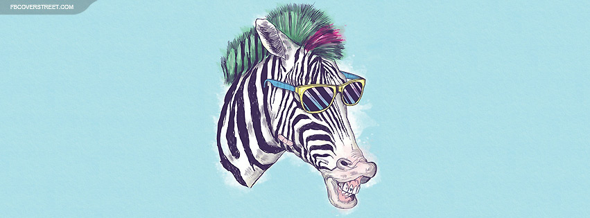 Cool Hip Zebra Facebook cover