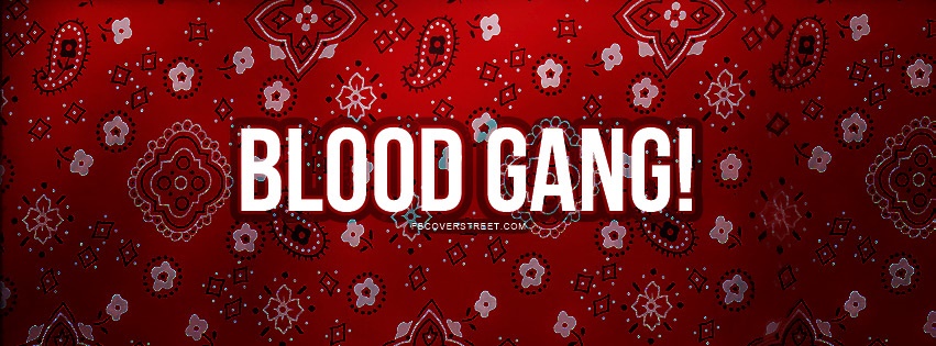 Blood Gang 2 Facebook cover