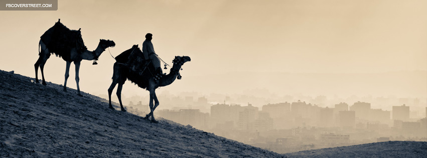 Cairo Egypt Camels Facebook cover