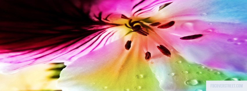 Colorful Flower Facebook cover