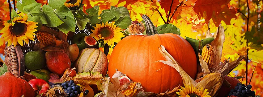 autumn pumpkin facebook cover