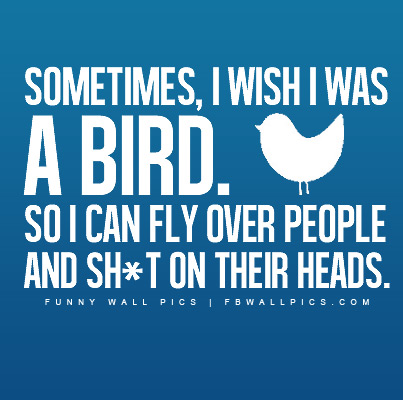 Sometimes I Wish I Was A Bird Facebook Picture Fbcoverstreet Com